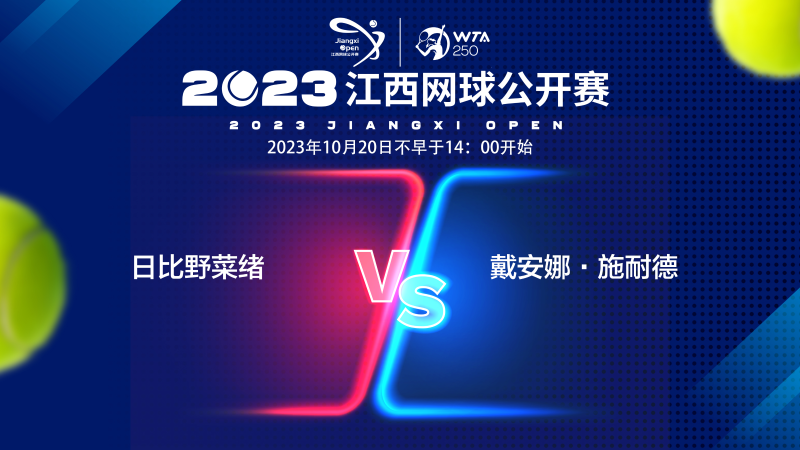 张帅的发球 张帅的发球