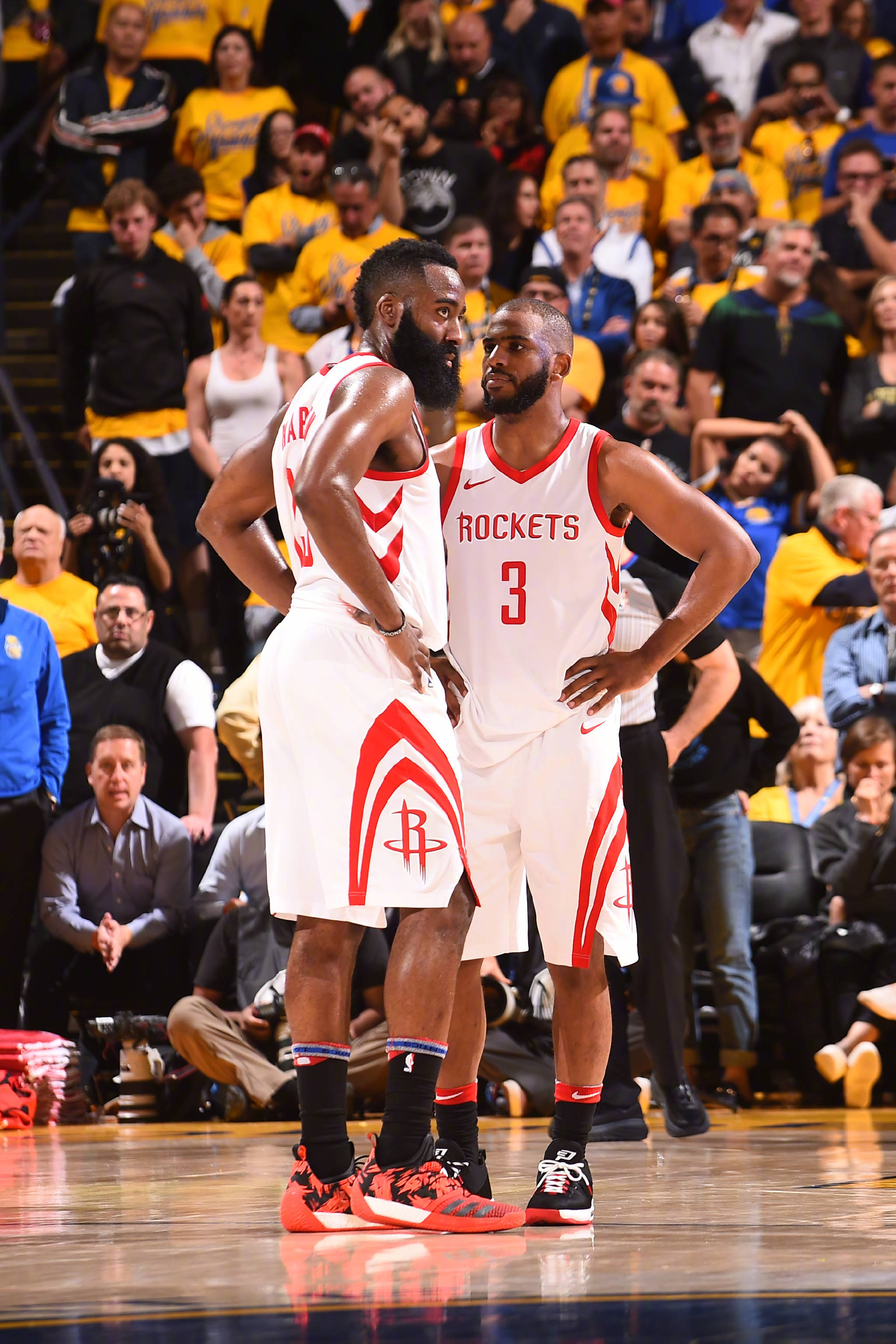 生态也意义 生态也意义